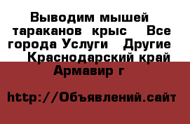 Выводим мышей ,тараканов, крыс. - Все города Услуги » Другие   . Краснодарский край,Армавир г.